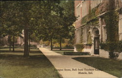 Campus Scene at Ball State College Postcard