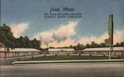Cole's Motel Olanta, SC Postcard Postcard Postcard
