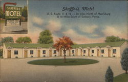 Shaffer's Motel Postcard