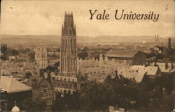 Bird's Eye View of Yale University New Haven, CT Postcard Postcard Postcard