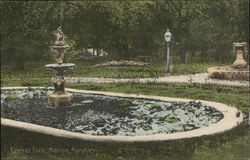 Central Park Postcard