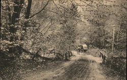 Stock #530495 Thumbnail