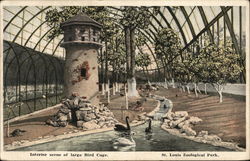 Interior Scene of Large Bird Cage, St. Louis Zoological Park Michigan Postcard Postcard Postcard