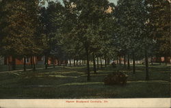 View of Hamm Boulevard Centralia, IL Postcard Postcard Postcard
