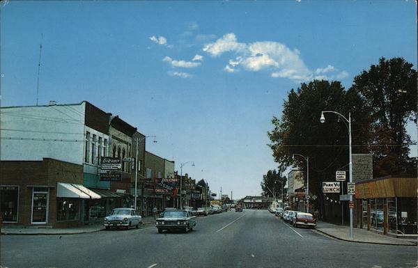 Street Scene Lake City Michigan
