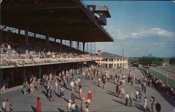 Derby Lane St. Petersburg Florida