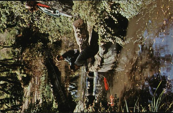 Descanso Gardens La Canada California Mertin D. Hatch