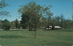 Wilson Park Postcard