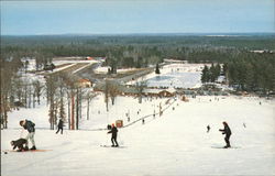 Bear Mountain Postcard