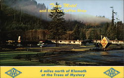 Trees Motel and Blue Ox Coffee Shop Klamath, CA Postcard Postcard Postcard