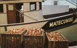 Florida Lobsters on the Dock Florida Lobsters on the Dock