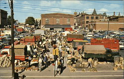 Stock #532111 Thumbnail