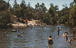 Gold Beach Park Postcard