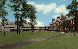 The State University College Postcard