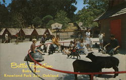 Bottle Formation, Baby Zoo, Knowland Park Zoo Bottle Formation, Baby Zoo, Knowland Park Zoo
