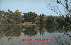 Bird Observation Station, Descanso Gardens Postcard