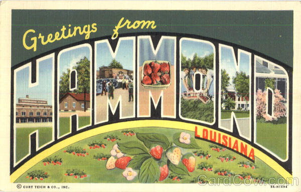 Greetings From Hammond Louisiana