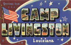 Greetings From Camp Livingston Postcard