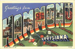 Greetings From Hammond Postcard