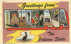 Greetings From La Louisiana Postcard Postcard