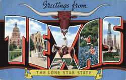 Greetings From Texas Postcard Postcard