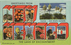 Greetings From N. M New Mexico Postcard Postcard