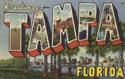 Greetings From Tampa Florida Postcard Postcard