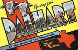 Greetings From Dalhart Postcard