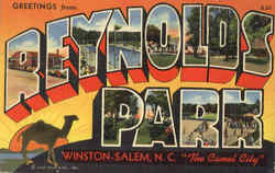 Greetings From Reynolds Park Salem, NC Postcard Postcard