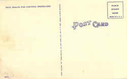 back