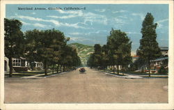 Looking Along Maryland Avenue Glendale, CA Postcard Postcard Postcard