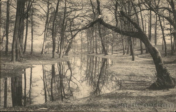 View Near Flatbush Water Works Brooklyn New York