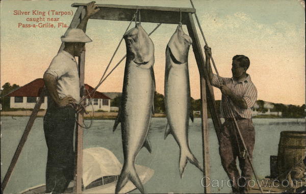 Silver King (Tarpon) Pass-a-Grille Beach Florida