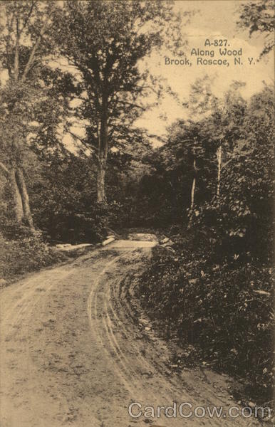 Along Wood Brook Roscoe New York