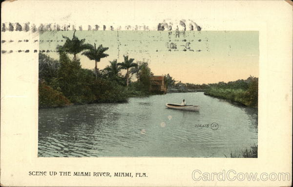 Scene Up The Miami River Florida