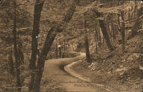 Goldwin-Smith Walk, Cornell University Ithaca New York
