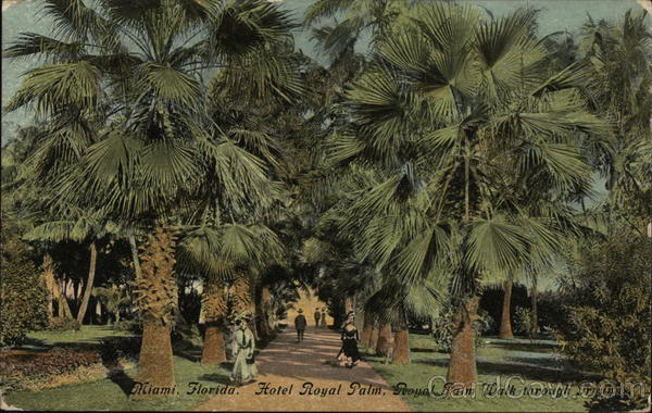 Hotel Royal Palm, Royal Palm Walk Through Grounds Miami Florida