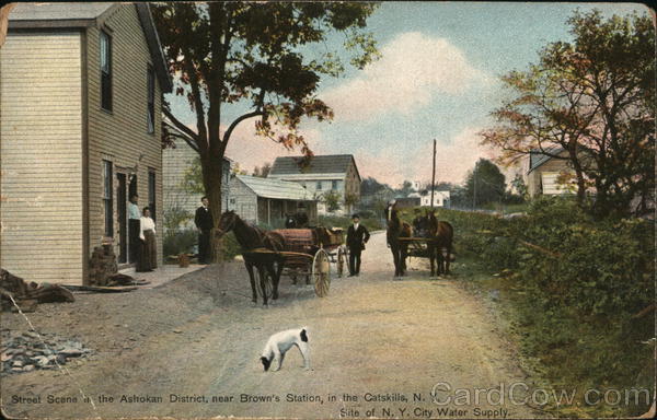 Street Scene at the Ashokan District Near Brown's Station New York
