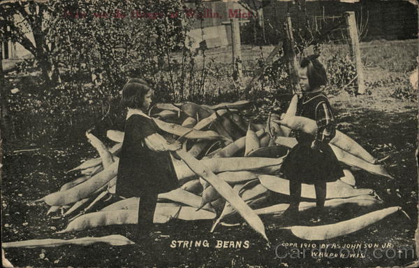 Huge String Beans Exaggeration