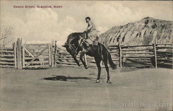 Ranch Sport Glendive Montana