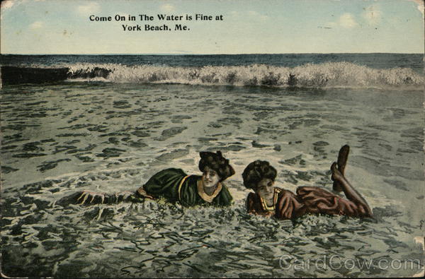 Come On in The Water is Fine York Beach Maine