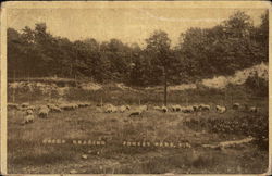 Stock #533875 Thumbnail