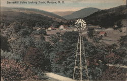 Beaverkill Valley Looking North Postcard