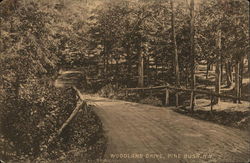 Woodland Drive Postcard