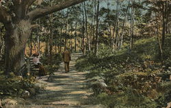 Path from Passaconaway Inn to Ocean Path from Passaconaway Inn to Ocean