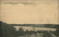 Tennanah Lake Roscoe, NY Postcard Postcard Postcard