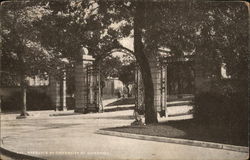 Entrance to University of Minnesota Minneapolis, MN Postcard Postcard Postcard