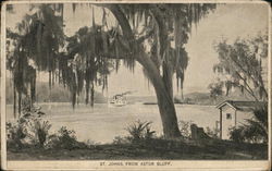 St. Johns From Astor Bluff Florida Postcard Postcard Postcard