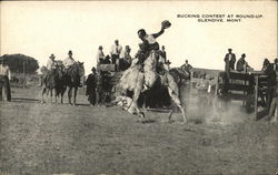 Bucking Contest at Round-Up Glendive, MT Postcard Postcard Postcard