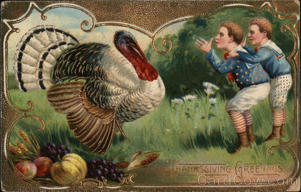 Thanksgiving Greetings Turkeys